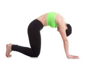 Young woman doing a cat yoga stretch for arthritis