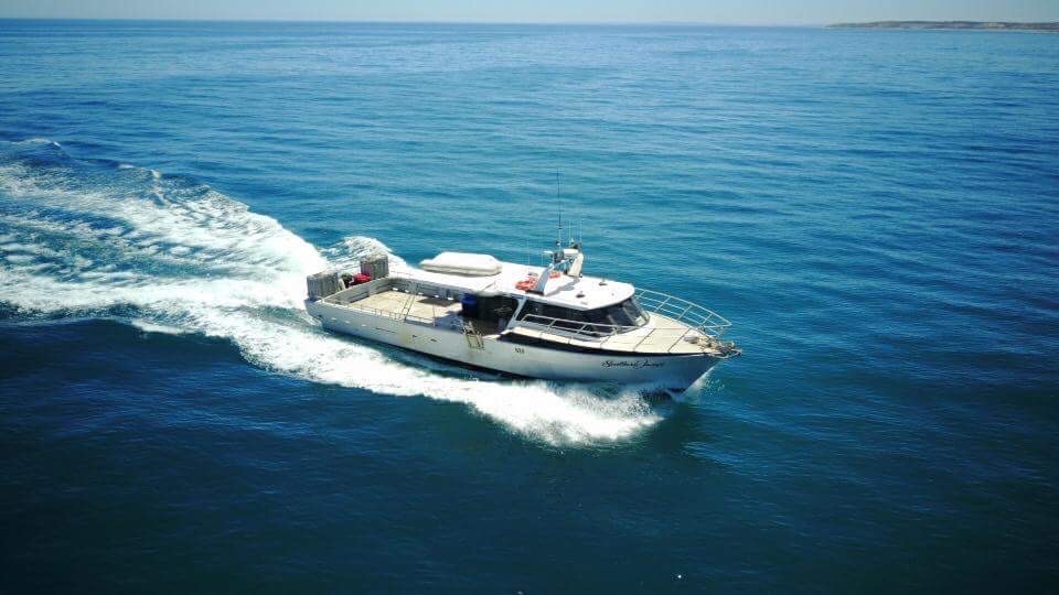 boat on south australian sea. Natural source of South Australian Shark Cartilage