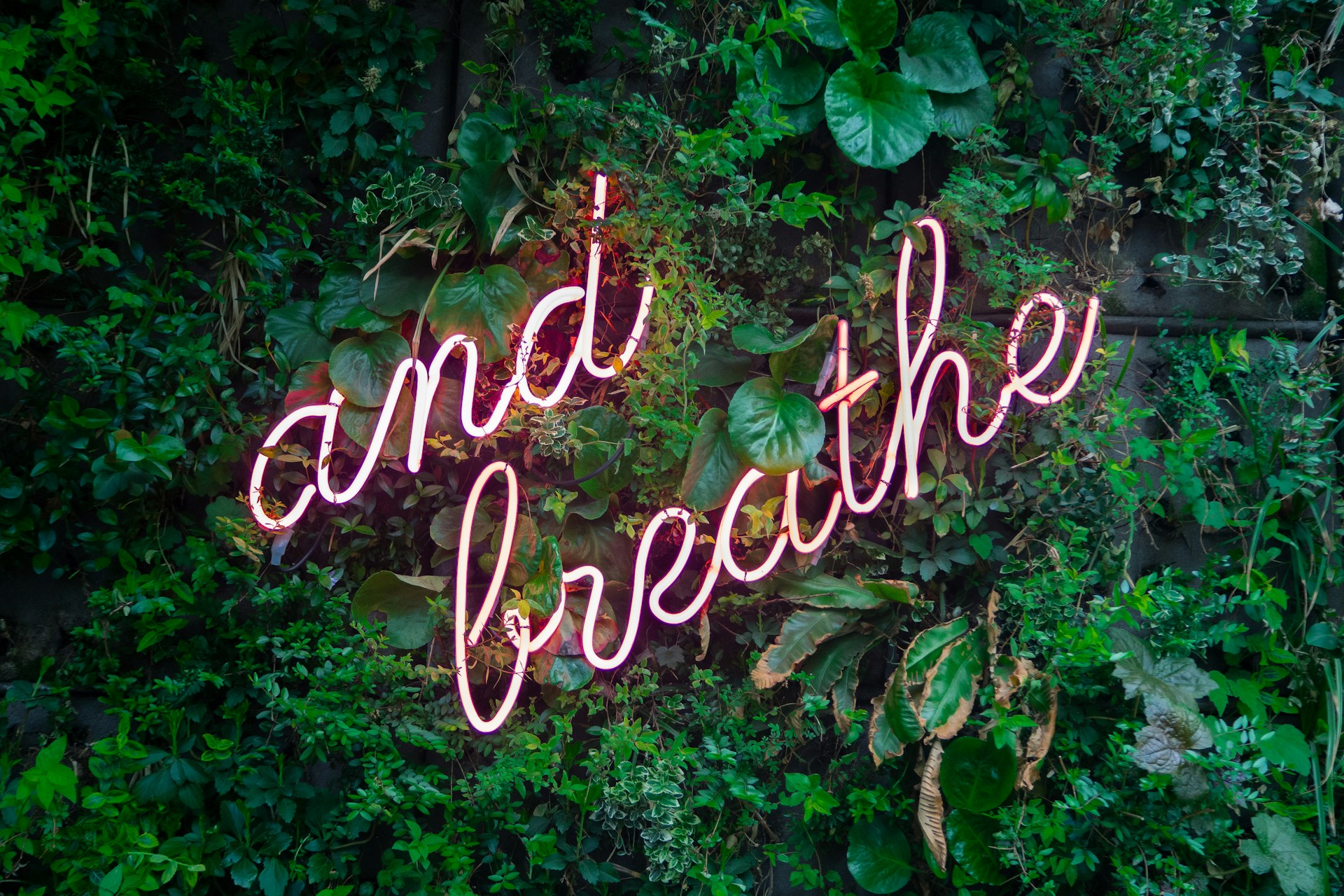 A neon sign saying 'and breathe' sitting amongst great leaves. 